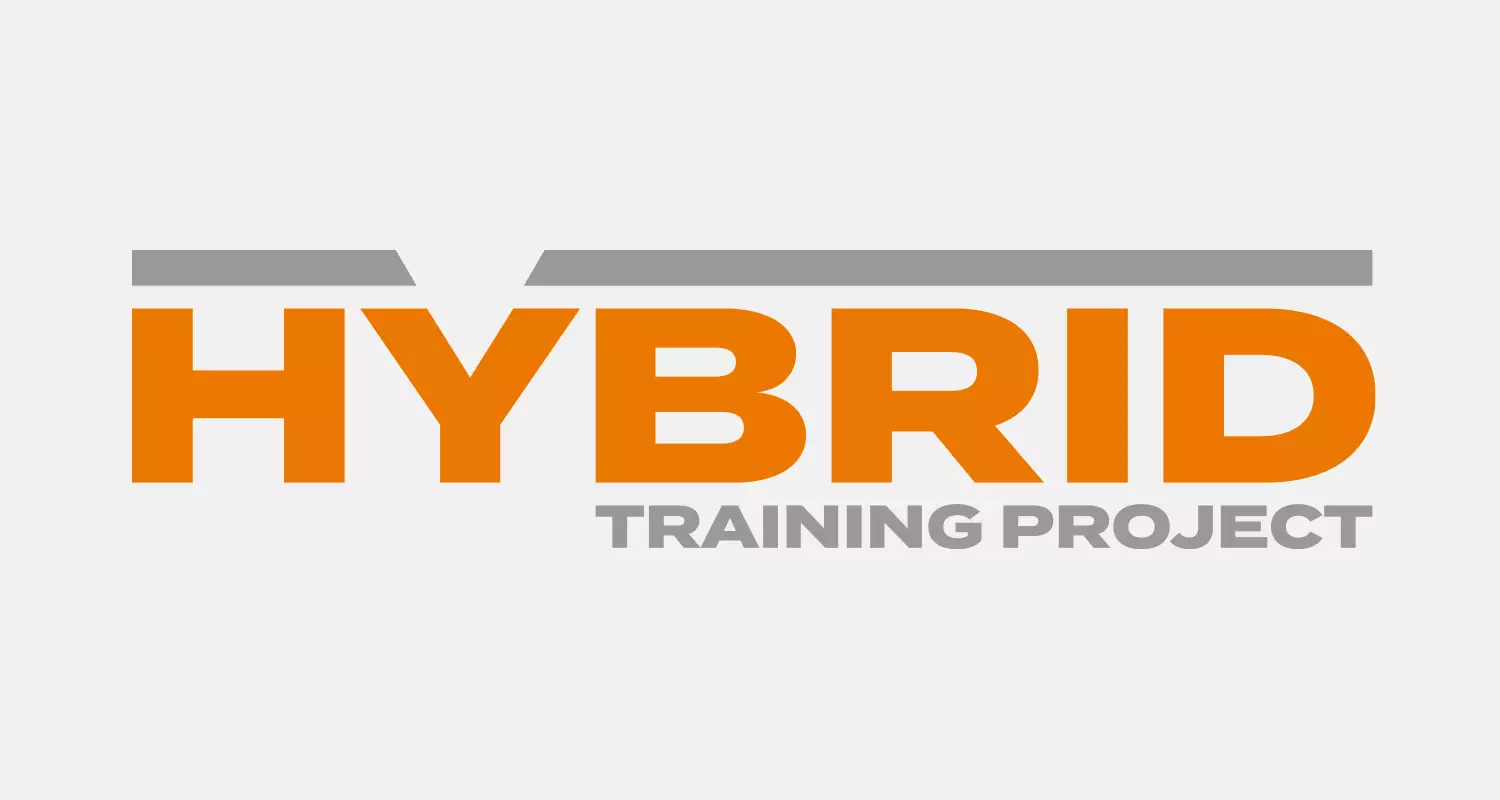 Hybrid Training