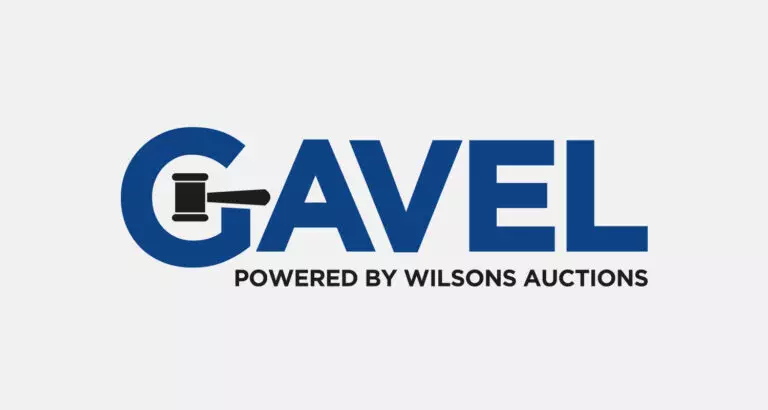 Gavel - Wilsons Auctions