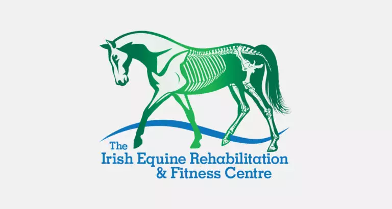 Equine Rehab